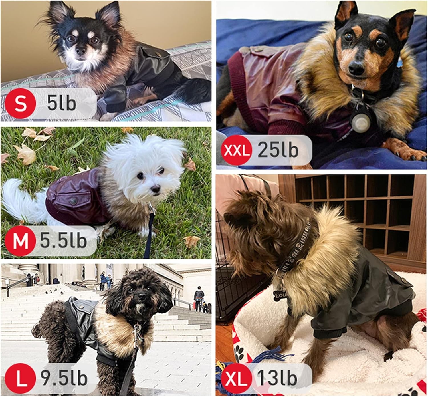 Dog Leather Jacket for Small Dogs, Small Dog Jacket Dog Coat Double Layer with Warm Fleece Lined for Small Dogs Puppy Cat, Black Small