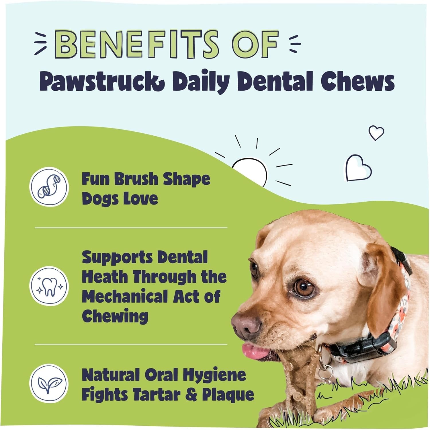 Natural Dental Chews for Small Medium Dogs & Puppies - Vet Recommended Brush Stick Treats Made in USA Breath Freshener to Improve Oral Hygiene & Clean Teeth - 30 Count - Packaging May Vary