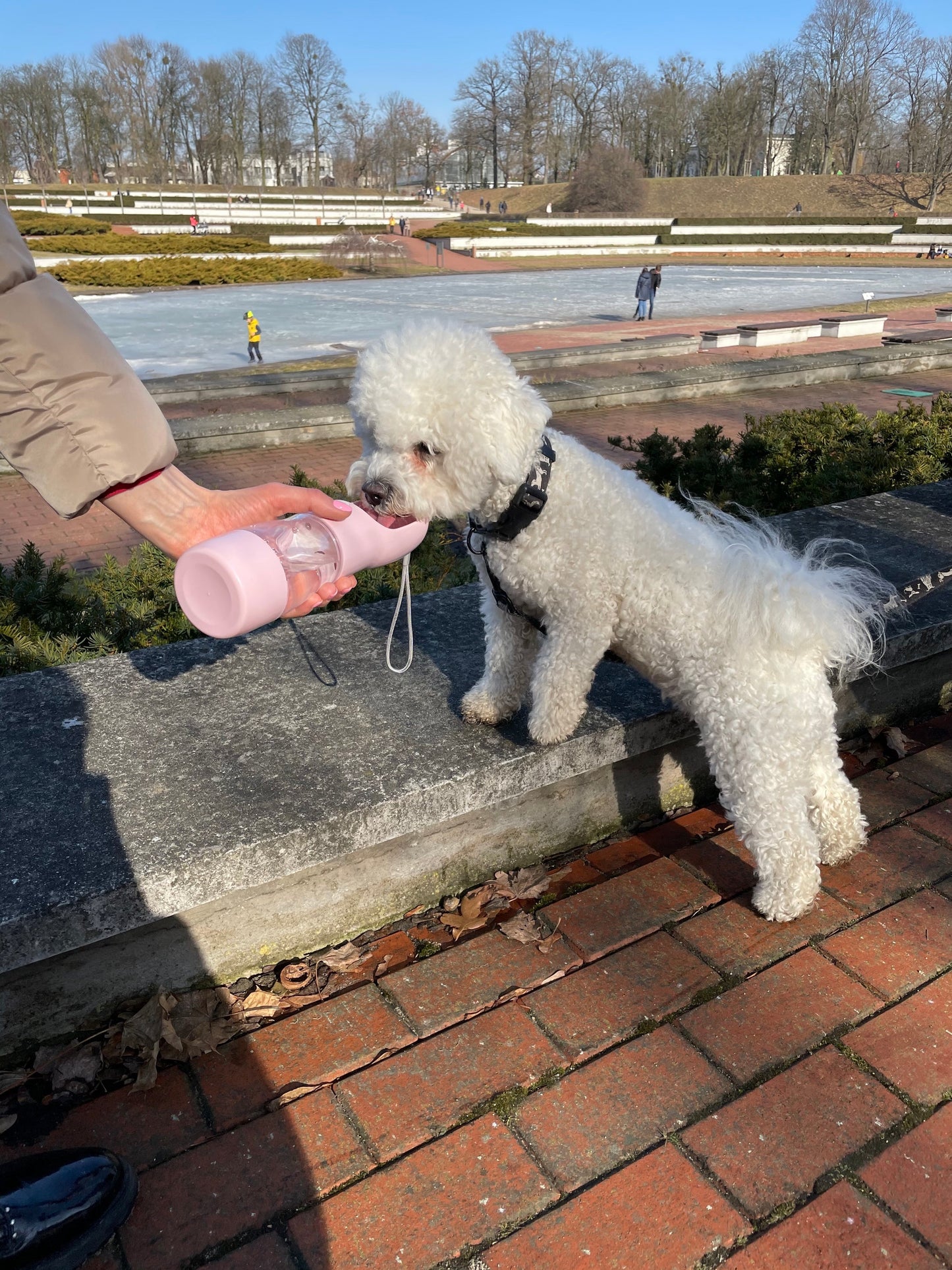 Portable Food & Water Bottle For Dogs