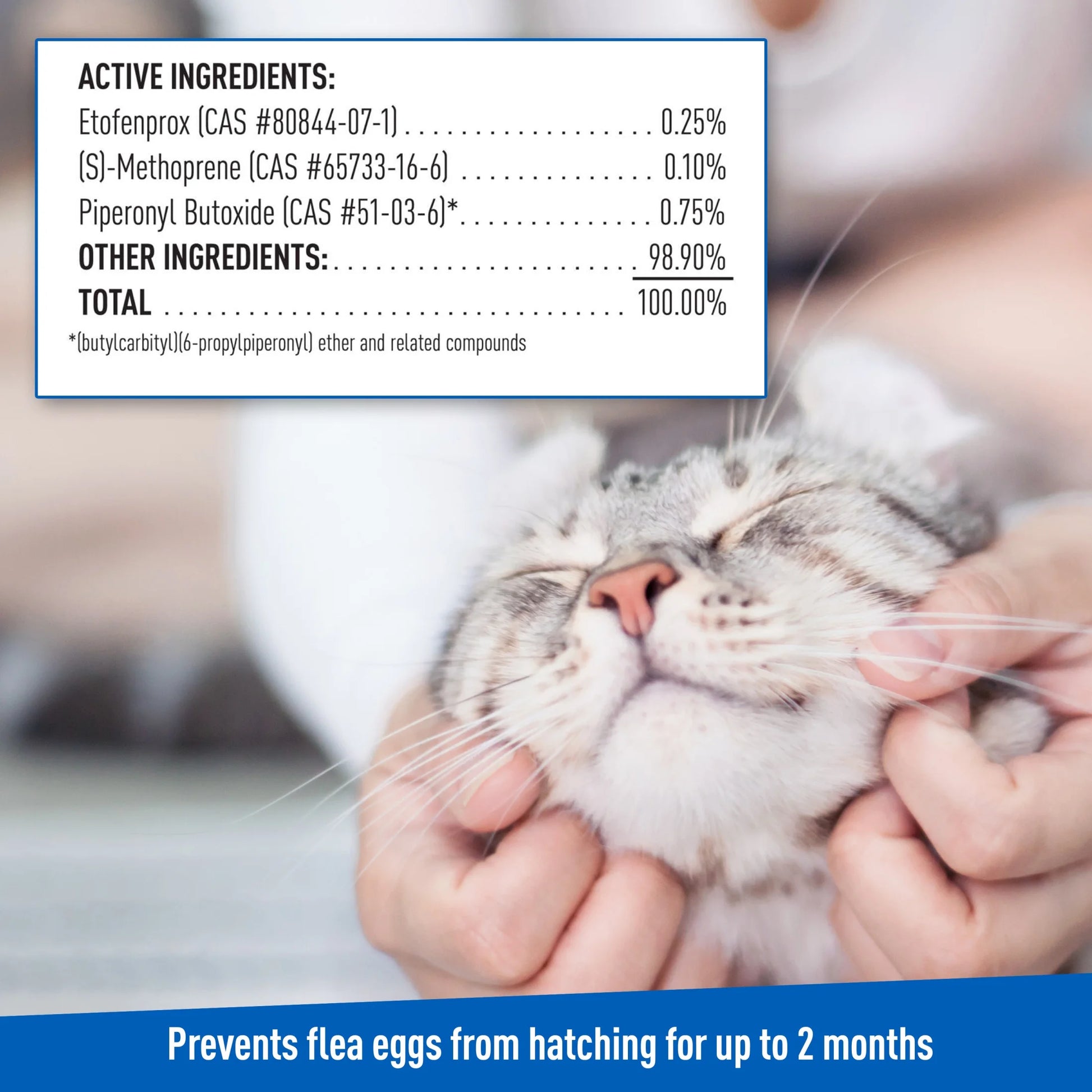 Flea and Tick Spray for Cats, 16 Ounces