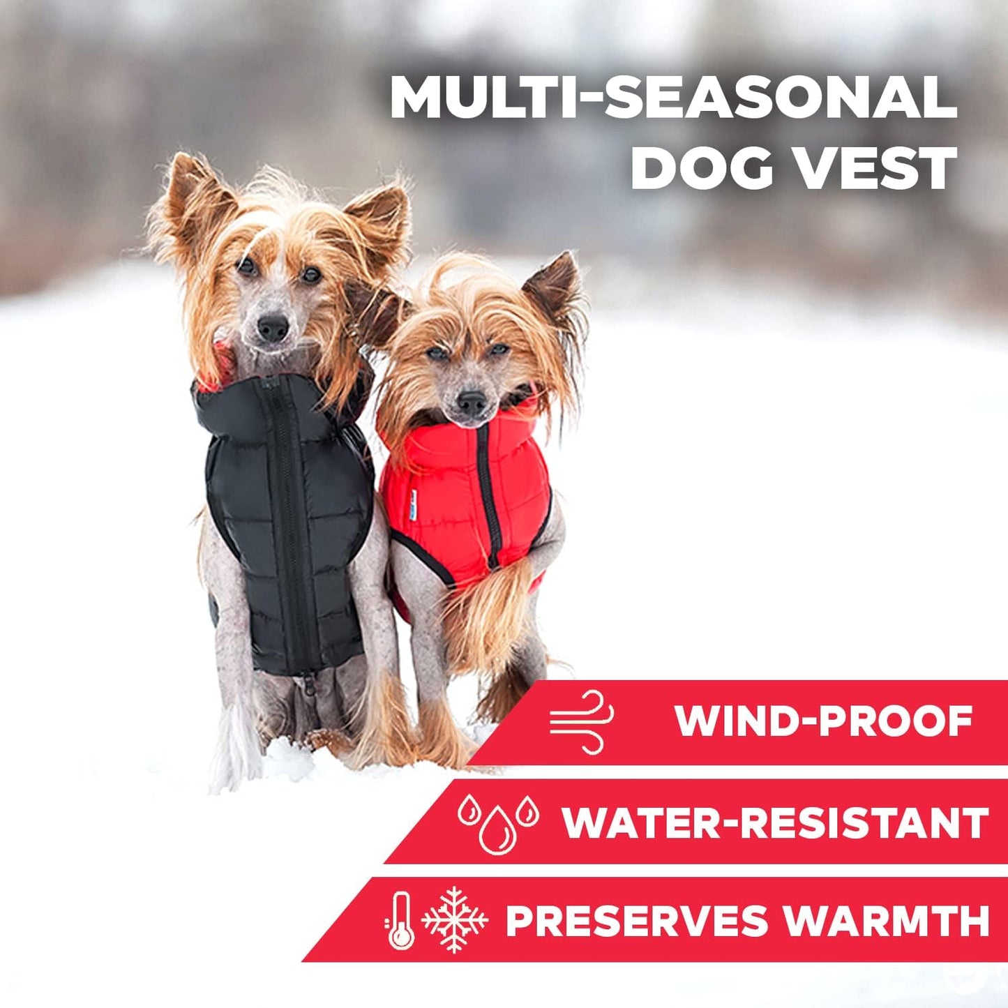Lightweight Reversible Winter Coat - Warm & Comfortable Dog Jacket - Water Resistant Windproof - XS - Black/Red