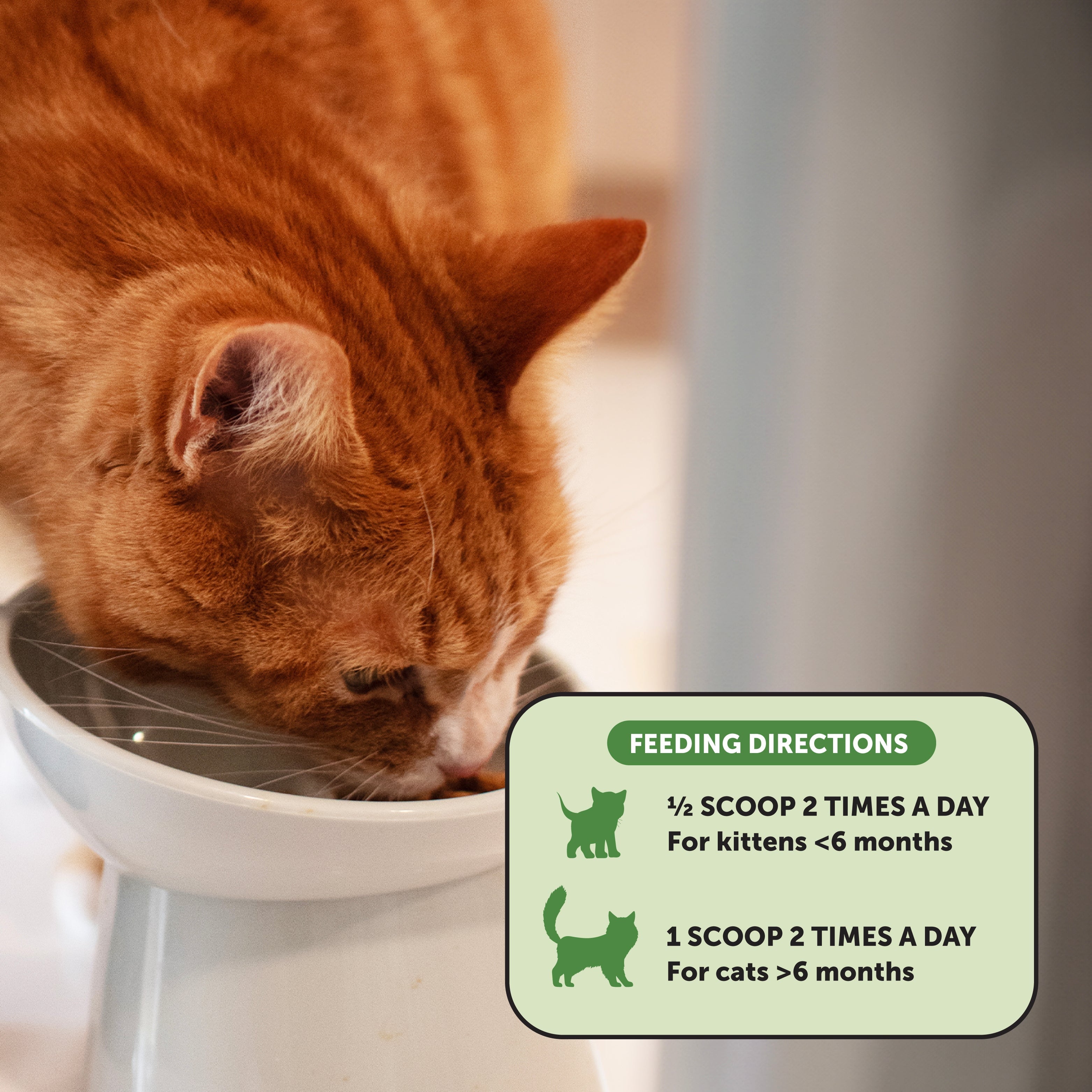 Digestive Probiotics Powder for Cats (Chicken & Fish Flavor)