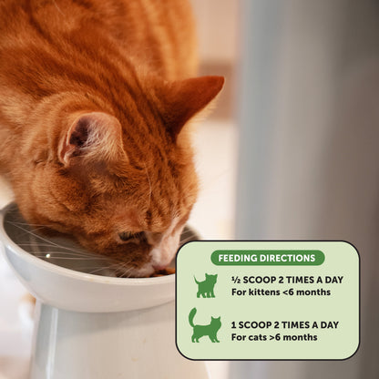 Digestive Probiotics Powder for Cats (Chicken & Fish Flavor)