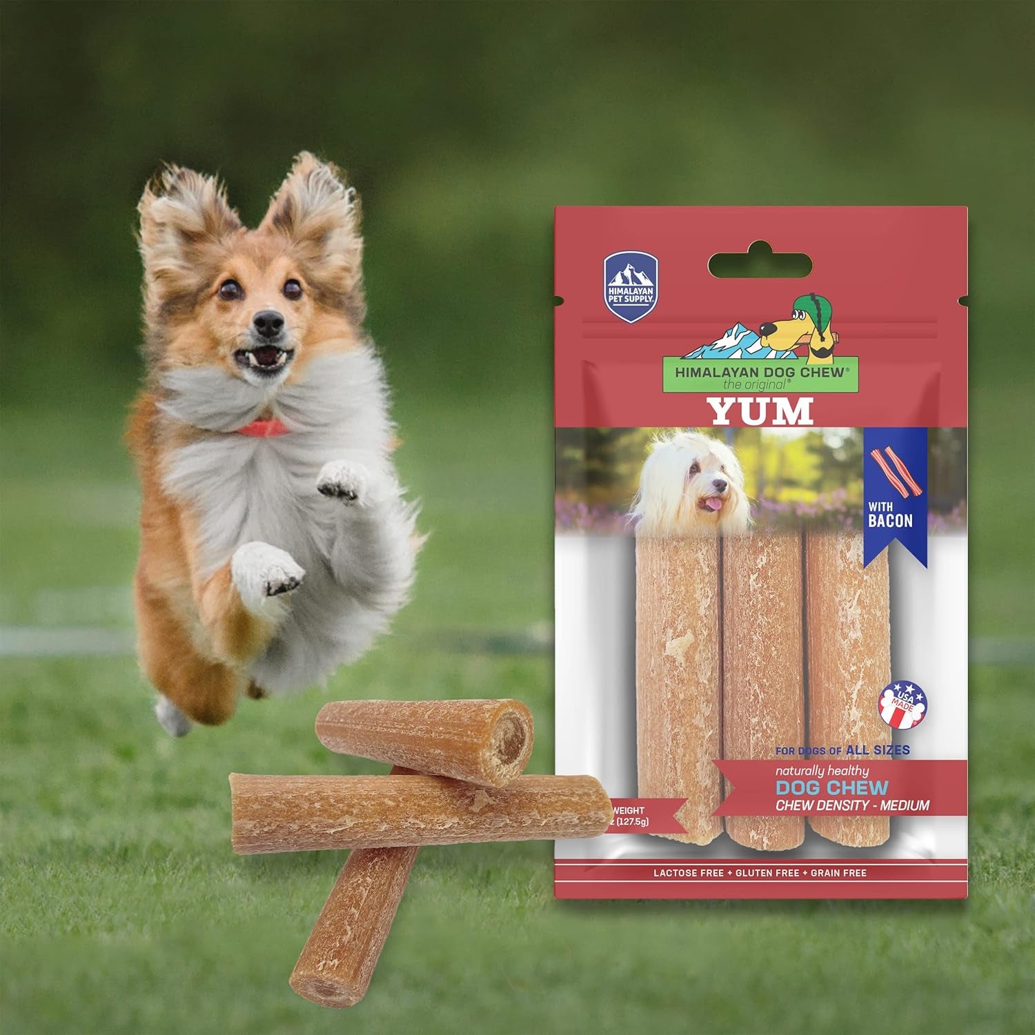 Yak Cheese Dog Chews, Lactose Free & Grain Free, USA Made, for All Dog Breeds, Medium Density Cheese Chew, Resealable Pouch with 3 YUM Treats, Bacon Flavor