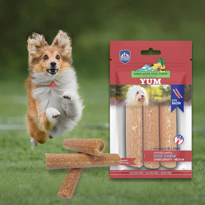 Yak Cheese Dog Chews, Lactose Free & Grain Free, USA Made, for All Dog Breeds, Medium Density Cheese Chew, Resealable Pouch with 3 YUM Treats, Bacon Flavor