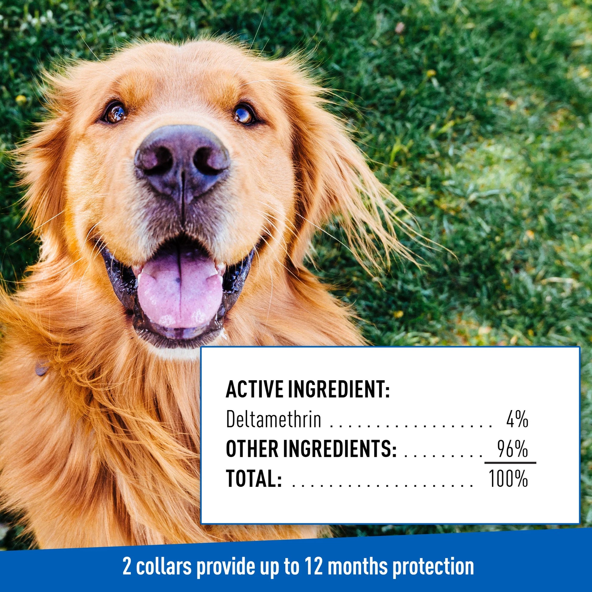 Flea & Tick Collar for Dogs and Puppies, 2 Pack, Value Pack