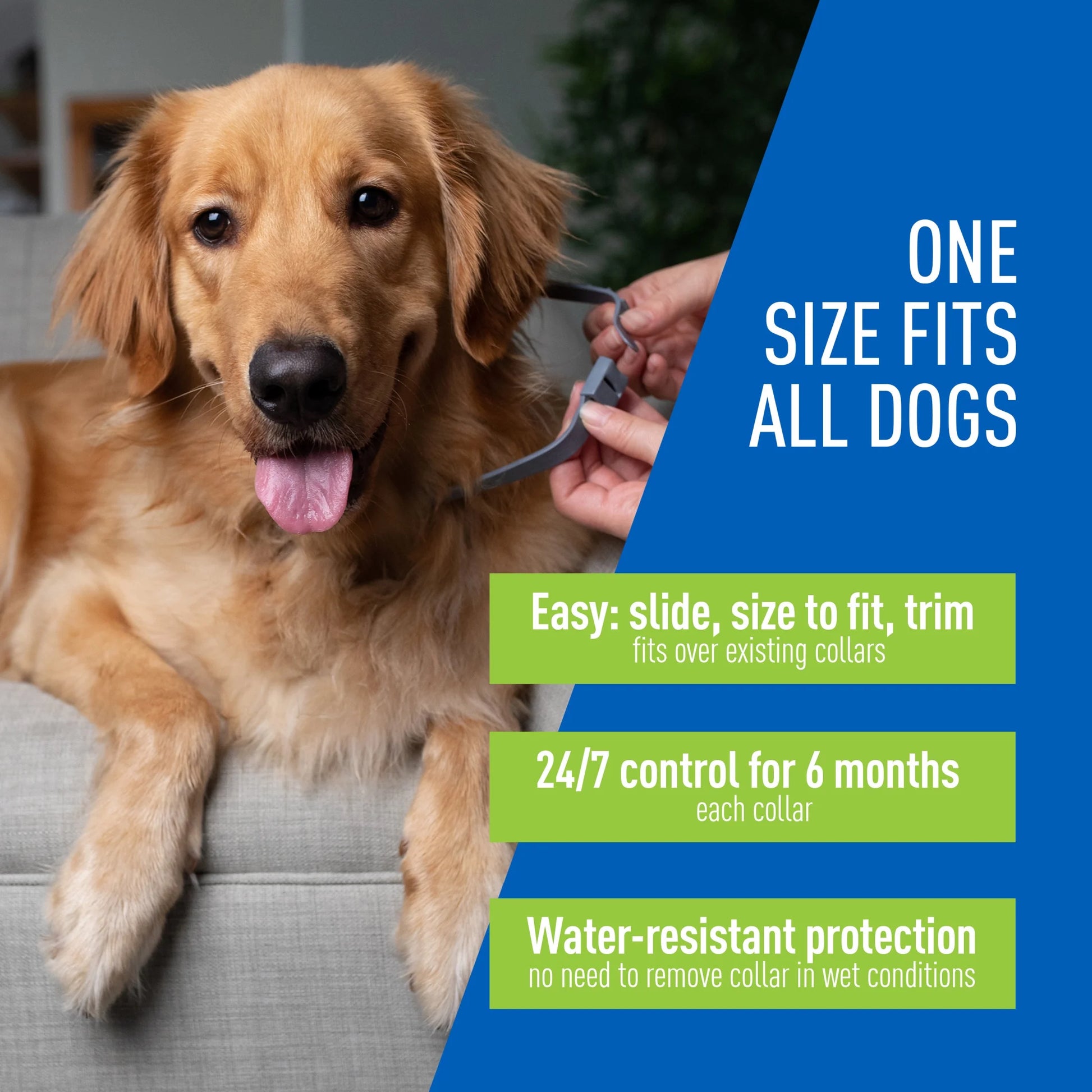 Flea & Tick Collar for Dogs and Puppies, 2 Pack, Value Pack