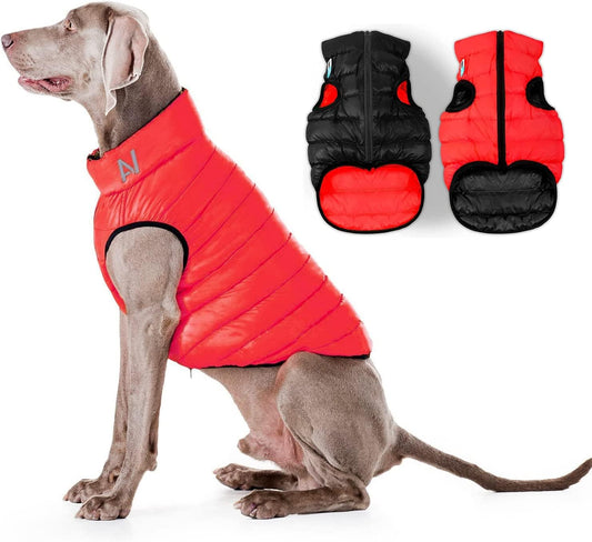 Lightweight Reversible Winter Coat - Warm & Comfortable Dog Jacket - Water Resistant Windproof - XS - Black/Red
