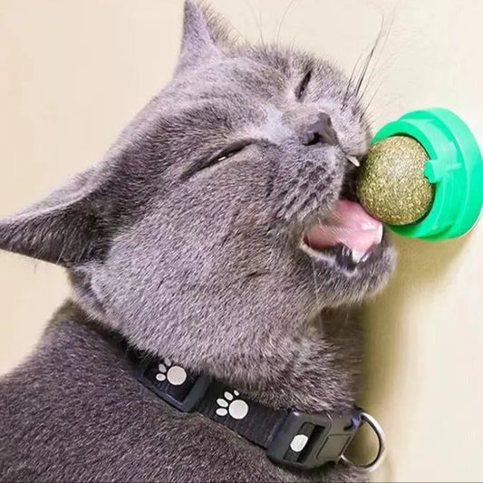 CatNip Bite Ball For Cats