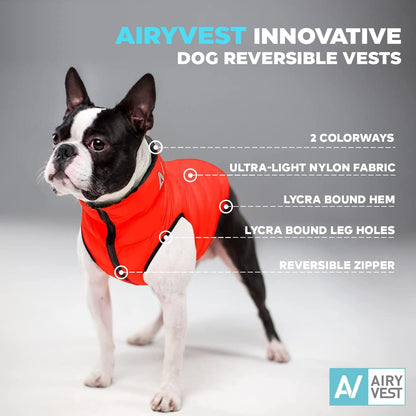 Lightweight Reversible Winter Coat - Warm & Comfortable Dog Jacket - Water Resistant Windproof - XS - Black/Red
