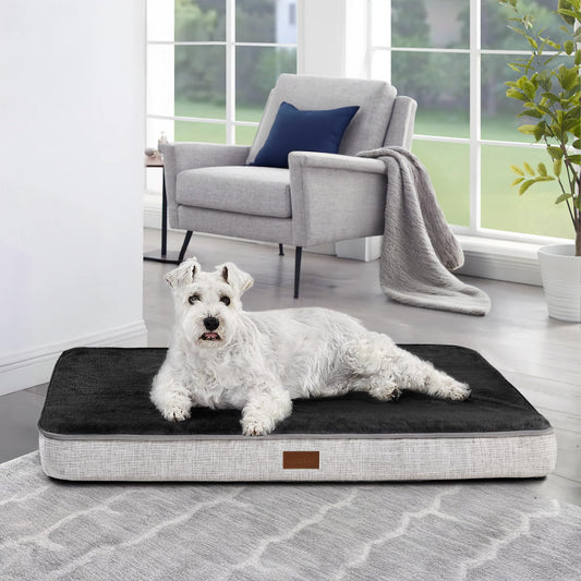 Orthopedic Dog Bed