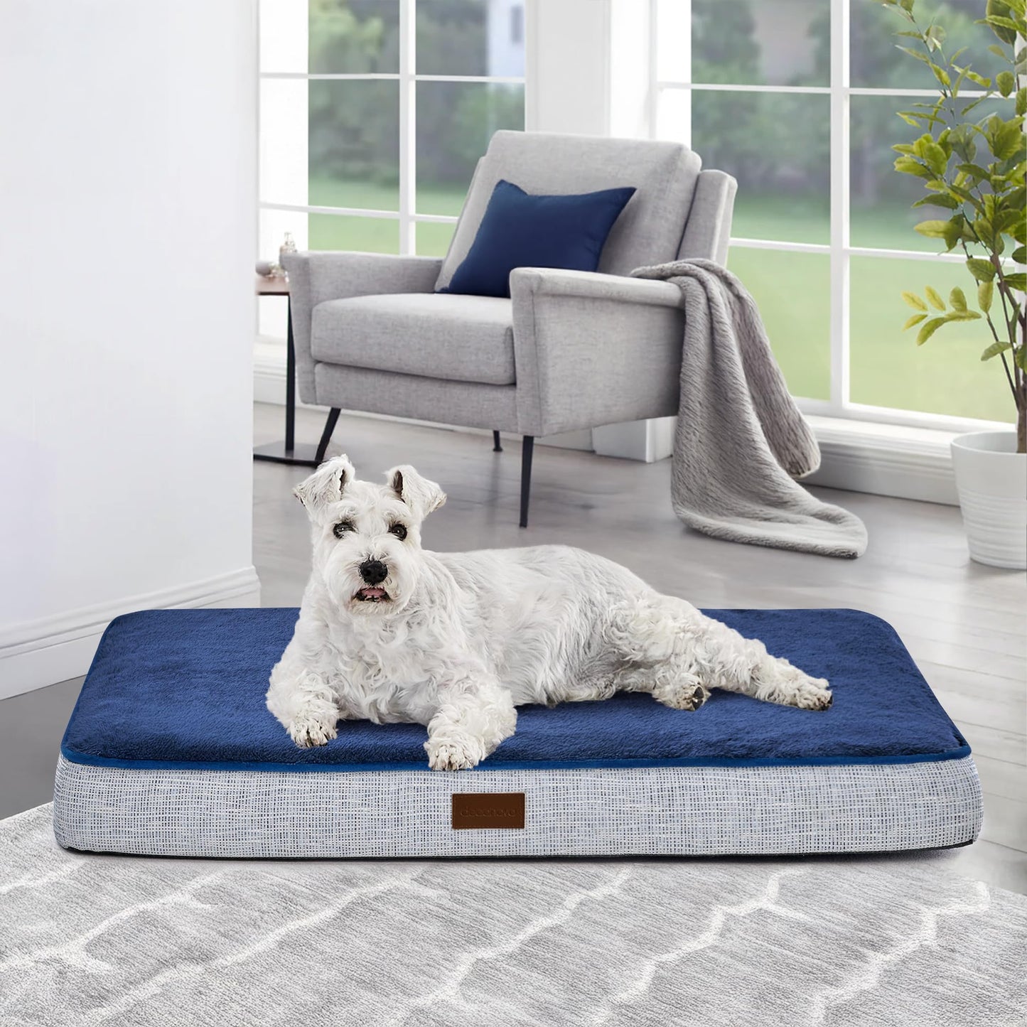 Orthopedic Dog Bed