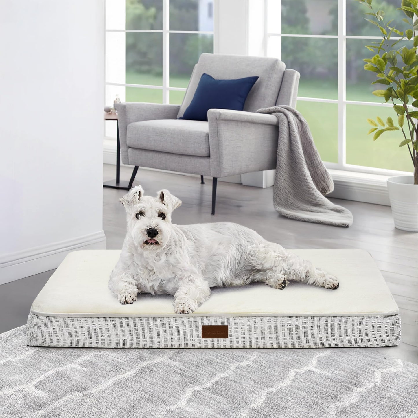 Orthopedic Dog Bed