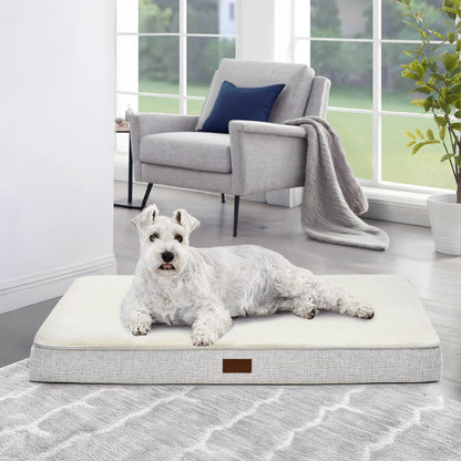 Orthopedic Dog Bed