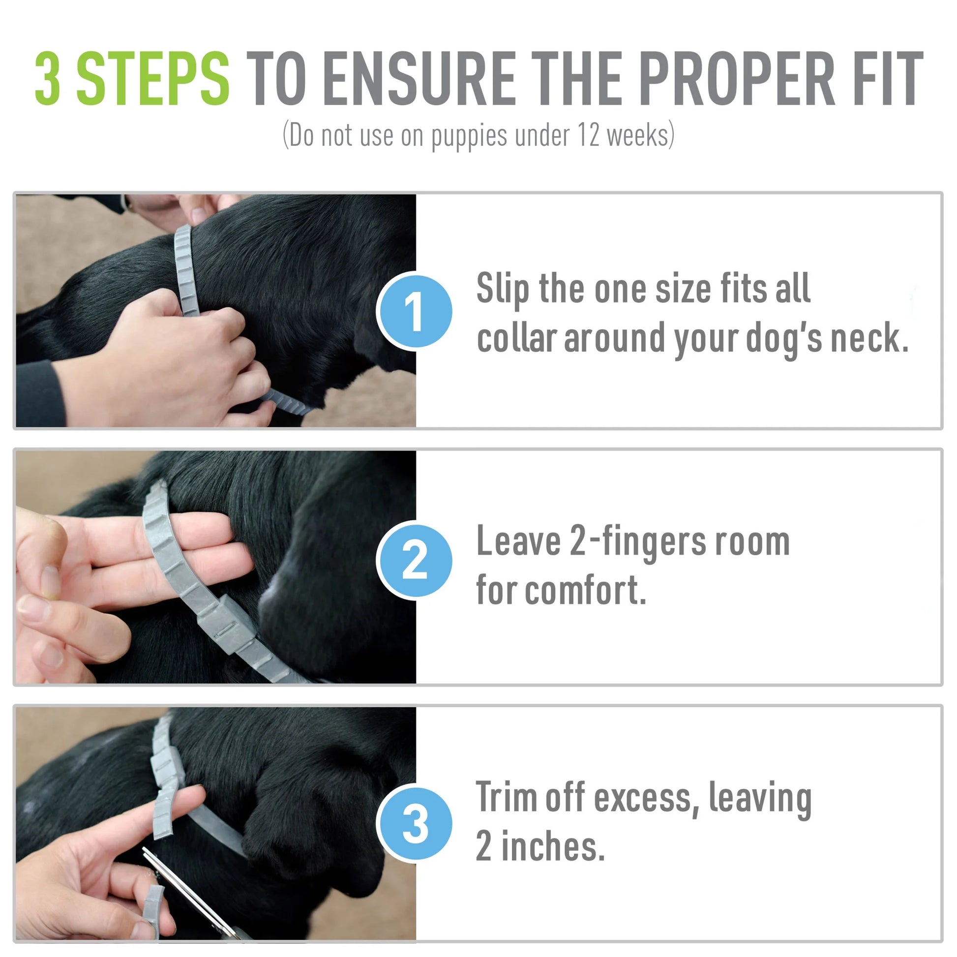 Flea & Tick Collar for Dogs and Puppies, 2 Pack, Value Pack