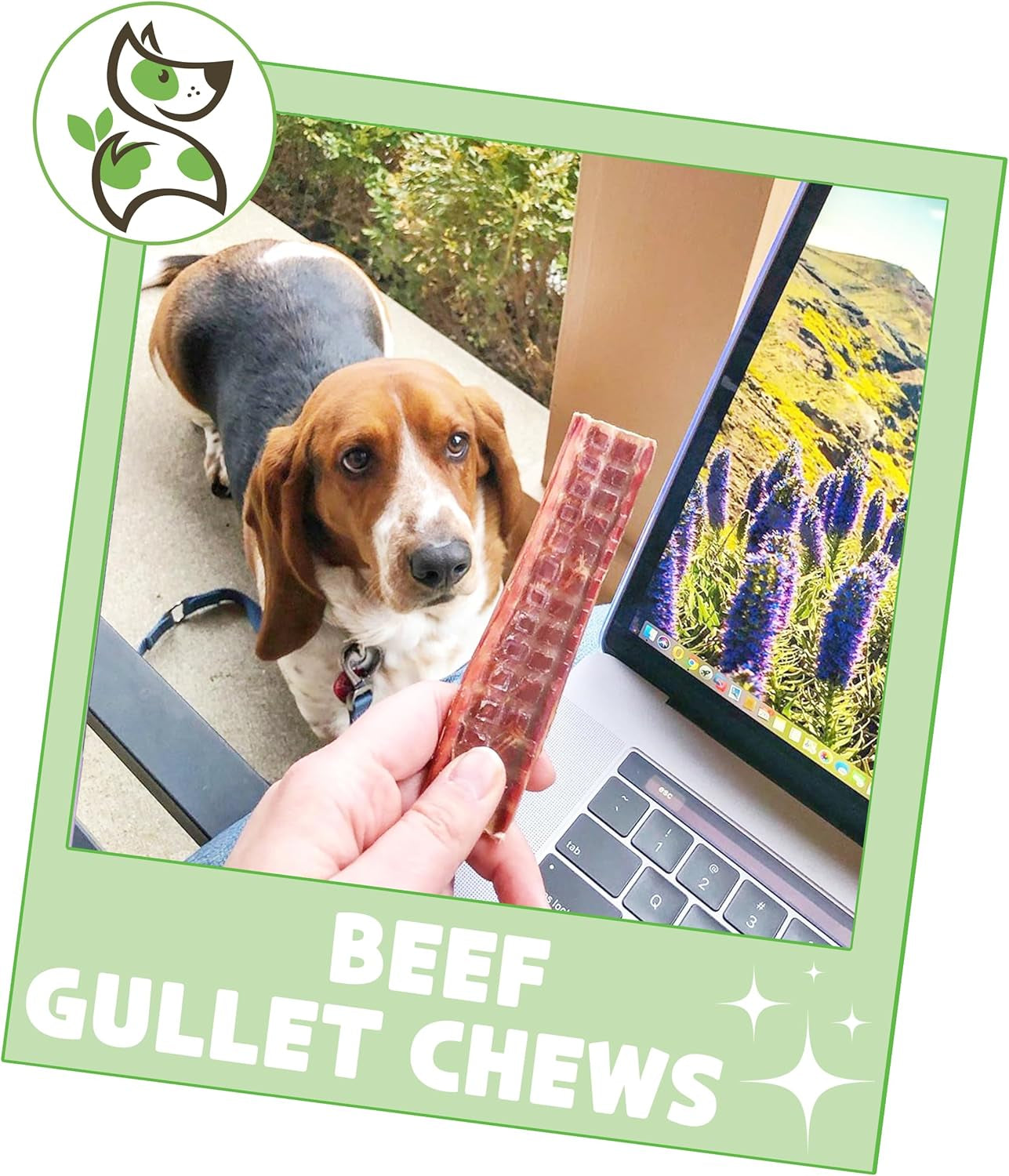 Beef Gullet Chews for Small Dogs 4-5" (20 Count) - Natural Beef Jerky Stick Dog Chew Treats - Rawhide Free