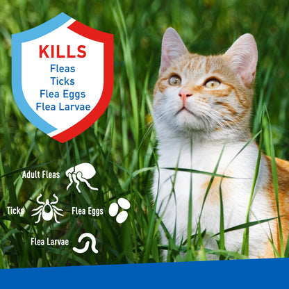 Flea and Tick Spray for Cats, 16 Ounces