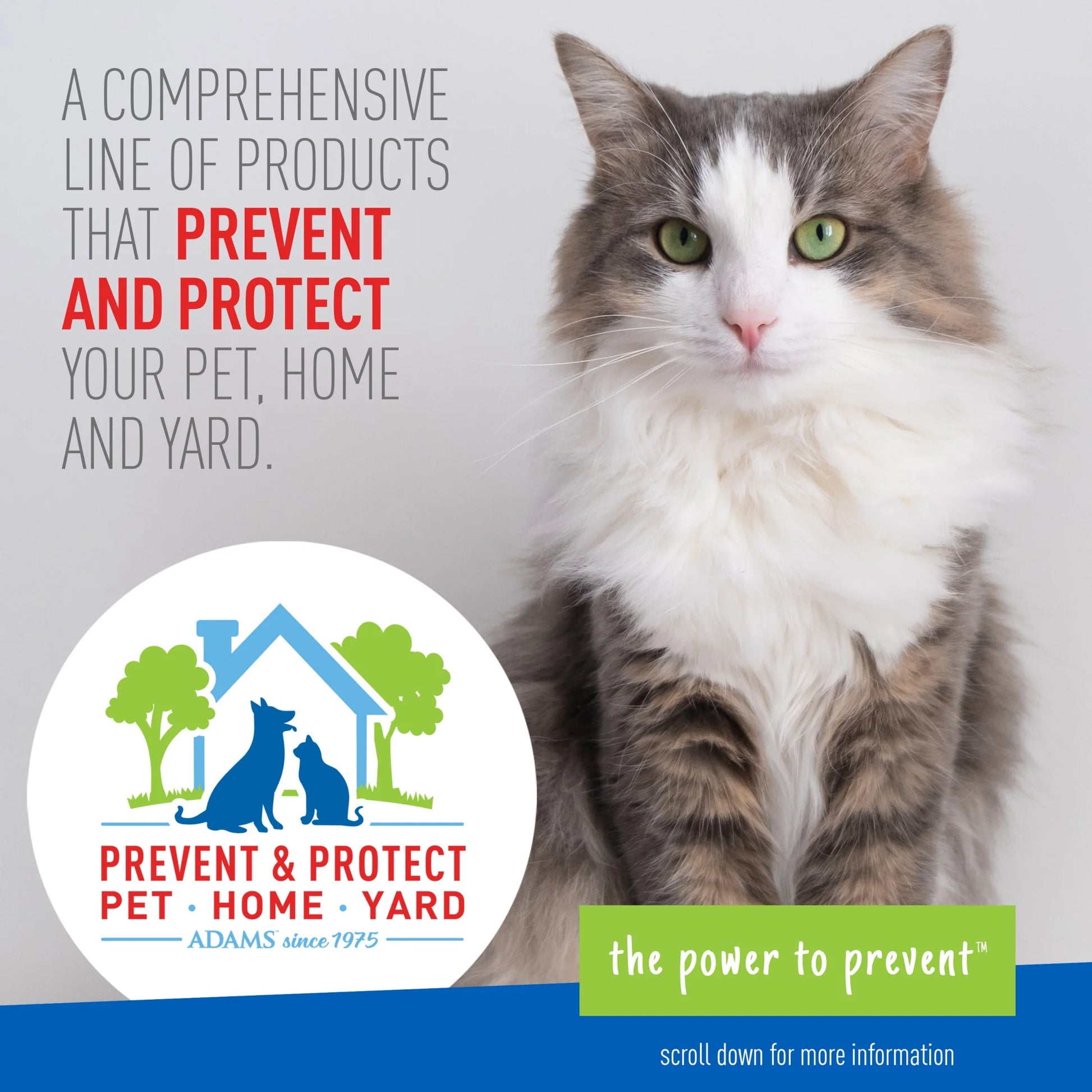 Flea & Tick Carpet & Home Spray for Houses with Cats and Dogs, 16 Ounce Can