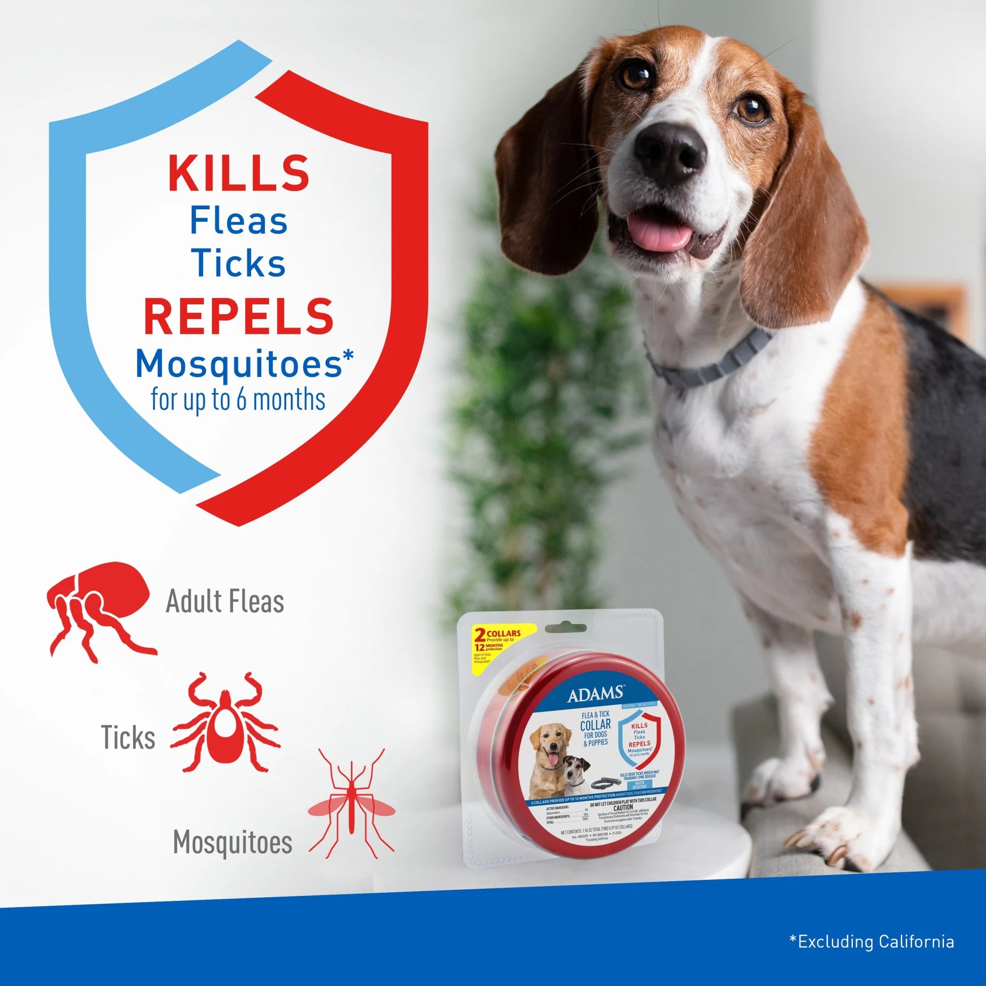Flea & Tick Collar for Dogs and Puppies, 2 Pack, Value Pack
