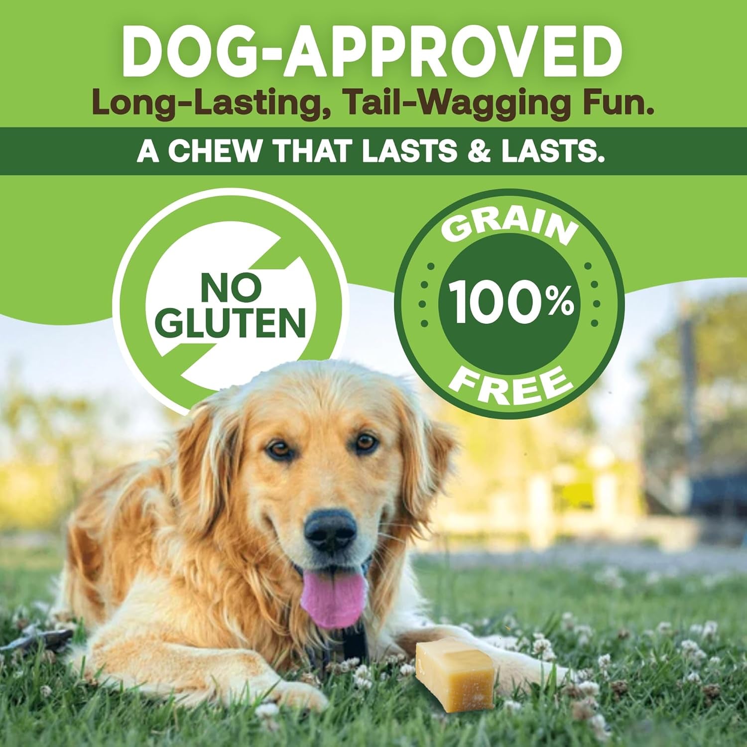 Ecokind Premium Gold Yak Cheese Himalayan Dog Chews, Healthy Dog Treats, Yak Chews for Small Dogs, All Natural, Long Lasting Dog Chew for Aggressive Chewers, High Protein Puppy Treat, Small - 8 Chews