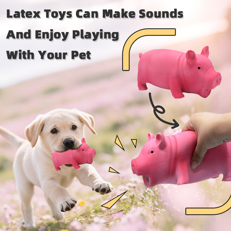 Squeaky Piggy Dog Toy ￼