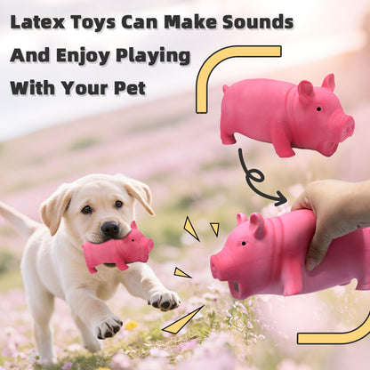 Squeaky Piggy Dog Toy ￼