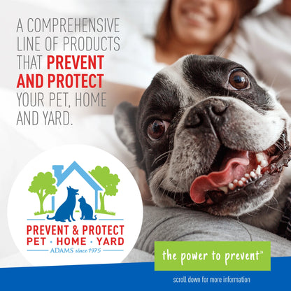 Flea & Tick Collar for Dogs and Puppies, 2 Pack, Value Pack