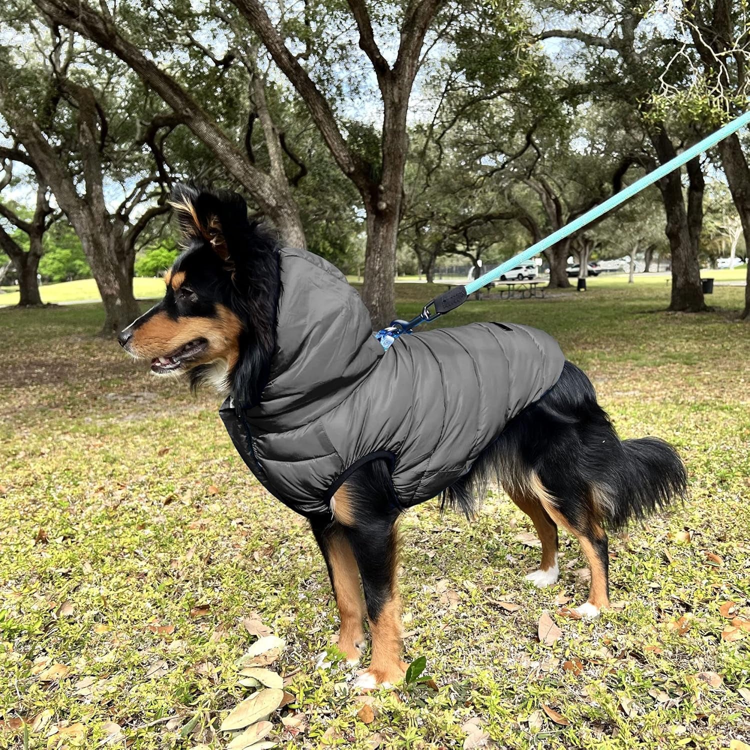 Reversible Dog Windproof Jacket | Water Resistant | Dog Coat for Winter to Keep Your Puppy Warm for Cold Weather Jacket | Pink - Grey up Dog Vest for Toy Breed Dogs - Pouch Included