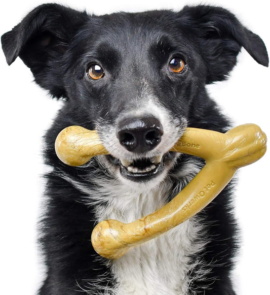 Wishbone Barkbone - Nylon Chew Toy for Aggressive Chewers - Peanut Butter Flavor - 6.75"