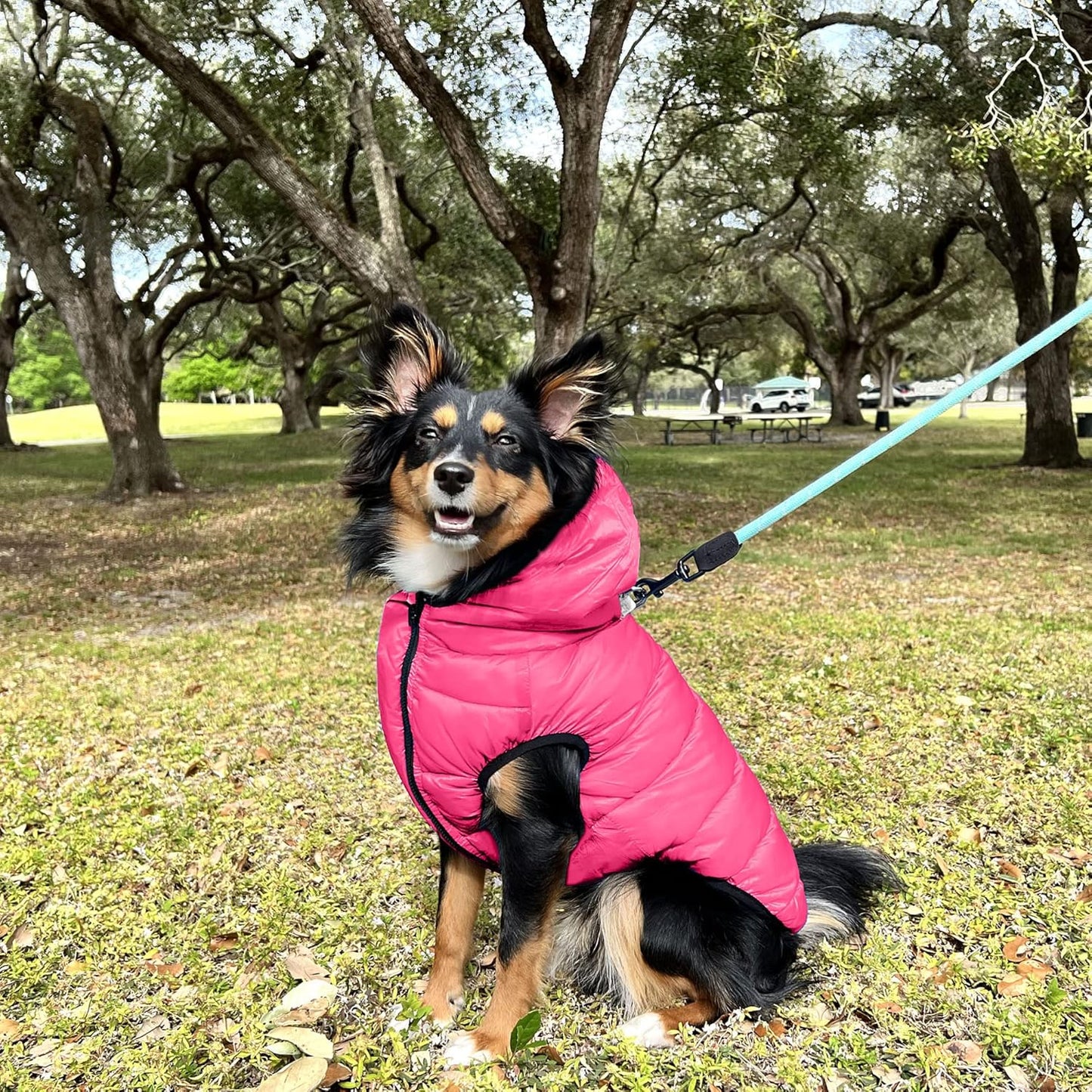Reversible Dog Windproof Jacket | Water Resistant | Dog Coat for Winter to Keep Your Puppy Warm for Cold Weather Jacket | Pink - Grey up Dog Vest for Toy Breed Dogs - Pouch Included