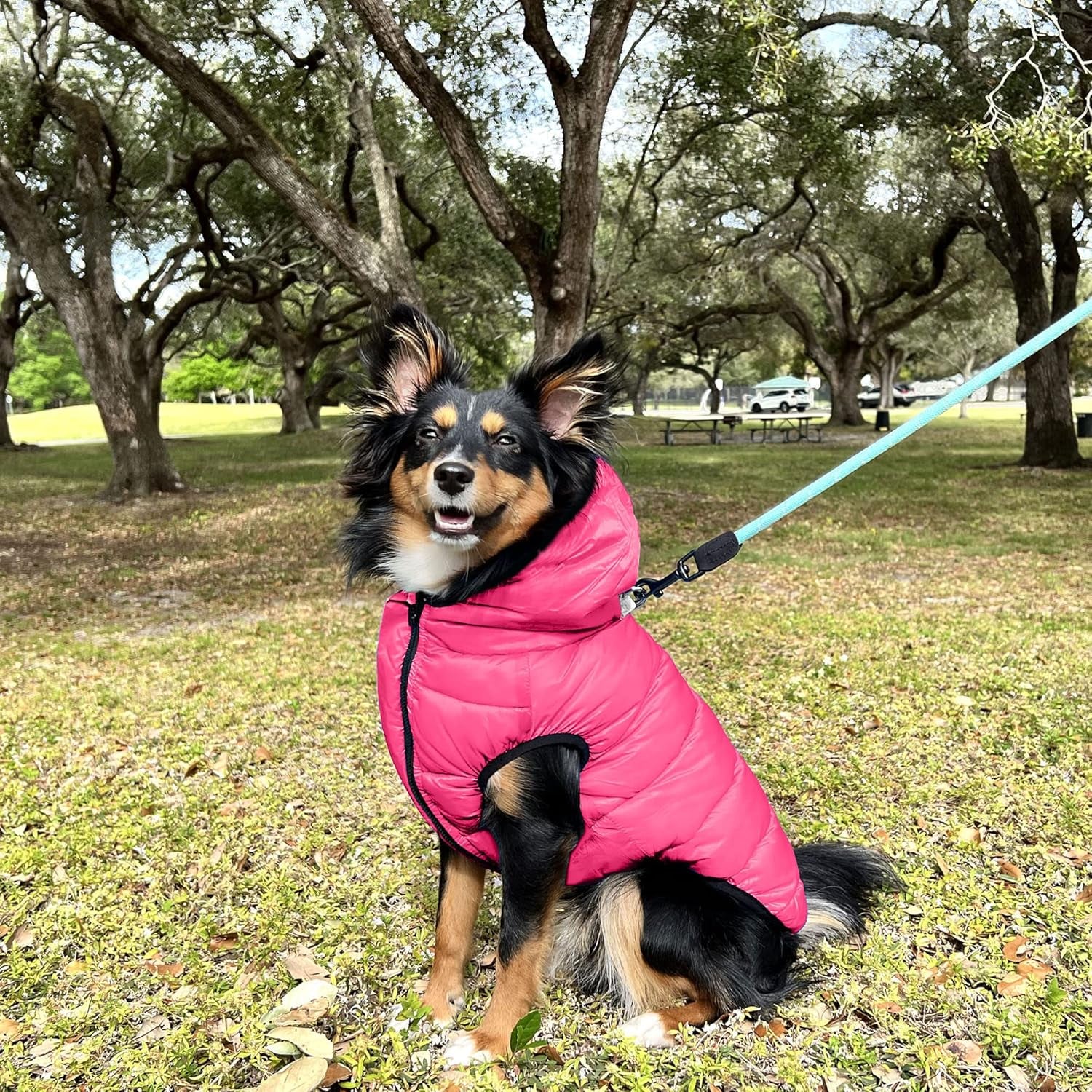Reversible Dog Windproof Jacket | Water Resistant | Dog Coat for Winter to Keep Your Puppy Warm for Cold Weather Jacket | Pink - Grey up Dog Vest for Toy Breed Dogs - Pouch Included