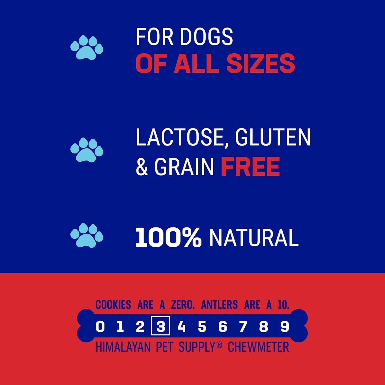Yak Cheese Dog Chews, Lactose Free & Grain Free, USA Made, for All Dog Breeds, Medium Density Cheese Chew, Resealable Pouch with 3 YUM Treats, Bacon Flavor